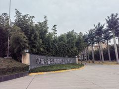 -西安国际创新人才交流中心•药浴温泉