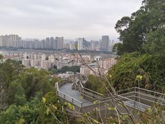 -福道