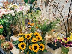 -植物学家的女儿(北马道巷店)