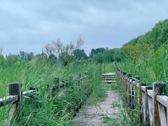 -野鸭湖国家湿地公园