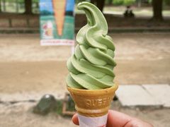 -奈良公园