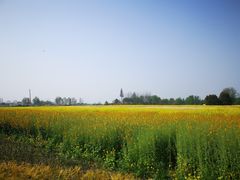 -中国天府农业博览园