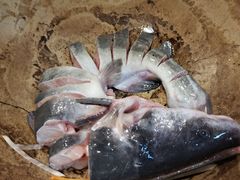 -云中鱼蒸汽石锅鱼(浦东食品城店)
