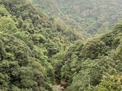 -花岩国家森林公园