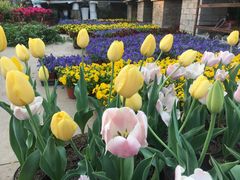 -金陵花卉交易市场