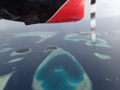 -中央格兰德岛温泉度假酒店 - 全包