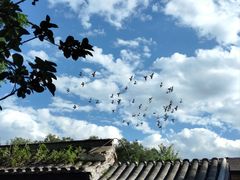 -萤火虫咖啡(后海店)