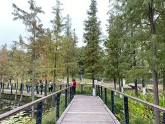-映月湖公园