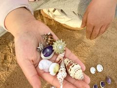 -青岛第二海水浴场