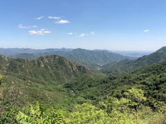 -大岭沟猕猴桃谷风景区