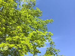 -鸡鸣山旅游风景区