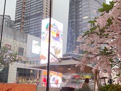 -泰尚臻Siam Essence