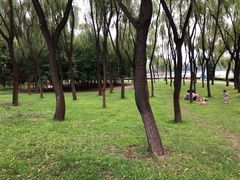 -森林公园(尖草坪区)