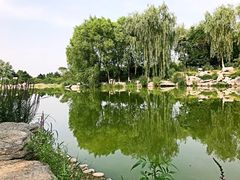 -秀水公园