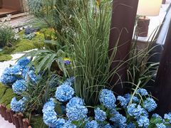 -狮王府淮扬菜(夫子庙老门东店)