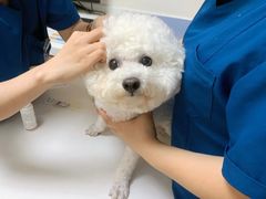 -全心全意连锁动物医院·特色中医诊疗(会城门分院)