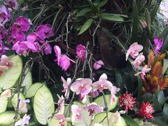 -北京植物园-展览温室