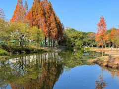 -梅峰山地公园
