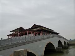 -大湾区中央湿地公园