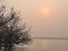 -宝安西湾红树林湿地公园