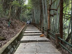 -敬亭山风景名胜区