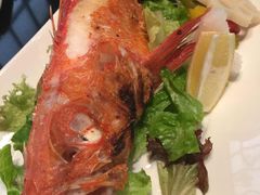 伊藤酒菜处-伊藤ITO(侨福芳草地购物中心店)