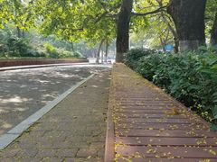 -大学路8号炸串(大学路十四号院店)