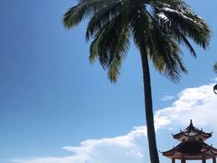 -东郊椰林