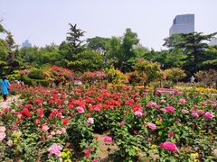 -睦南公园