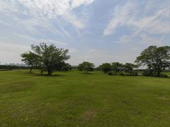 -盘龙城国家考古遗址公园