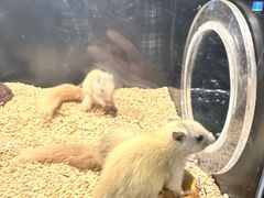 -太平洋海底世界