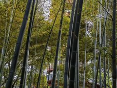 -绳金塔