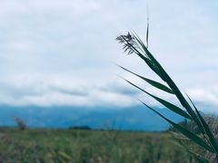 -野鸭湖国家湿地公园