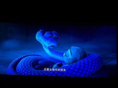 -CGV影城(东港IMAX店)