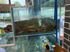 -品鲜村农家菜·阳澄湖大闸蟹(总店)