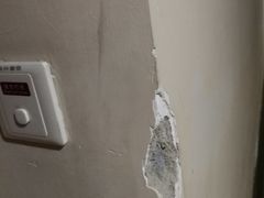 -格林豪泰商务酒店(武汉武昌火车站东广场店)