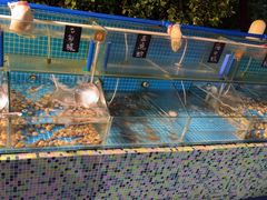 -渔家火锅·海鲜自助餐·演艺(亚龙湾天域酒店)