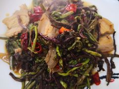 白菜猪肉水饺-暖心人家(海林店)
