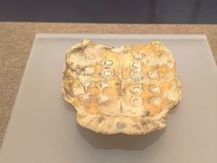-嘉定博物馆