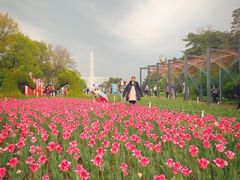 -沈阳植物园