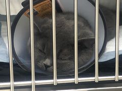 -福州肆爪动物医院