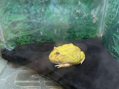 -上海大自然野生昆虫馆