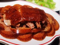 -秀儿四九城·新京菜(亚运村鸟巢店)