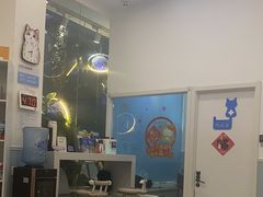 -纳吉亚猫专科动物医院·北北分院