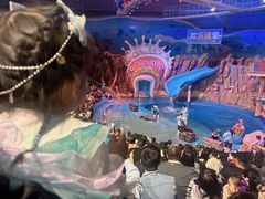 -烟台海昌鲸鲨海洋公园