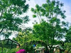 -西江印象酒楼