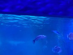 -常州海昌海洋探索馆