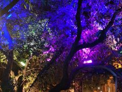 -爵士花园音乐酒吧餐厅