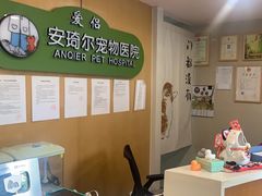-爱侣·安琦尔宠物医院·中兽医针灸·心内科·狂犬免疫点(宝山区院)
