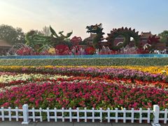 -北陵公园